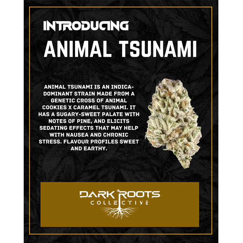 Animal Tsunami 2.jpg