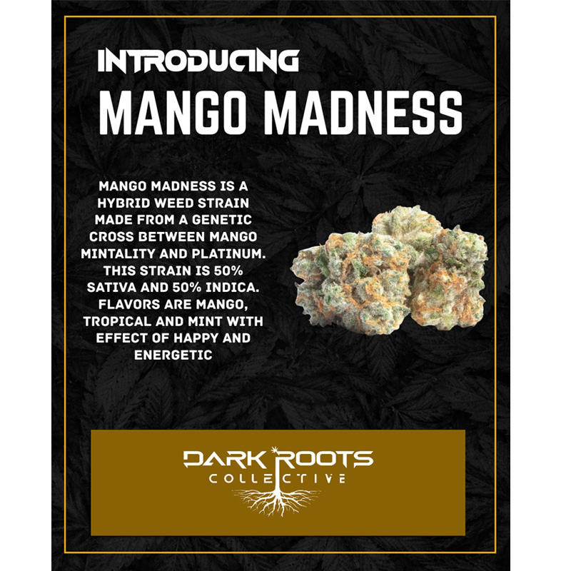 Mango Madness 2.jpg